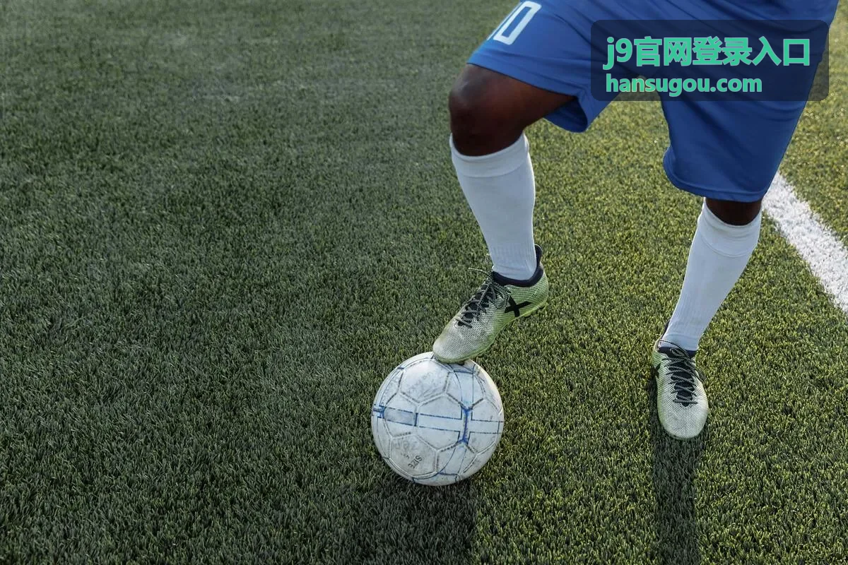 j9官网登录入口访问方式示意图